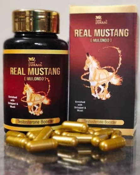 Real Mustang Real Mustang